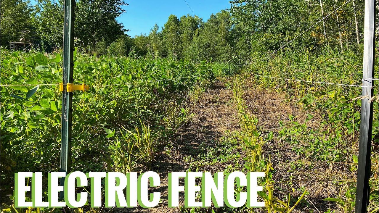 Advanced electric fence installation